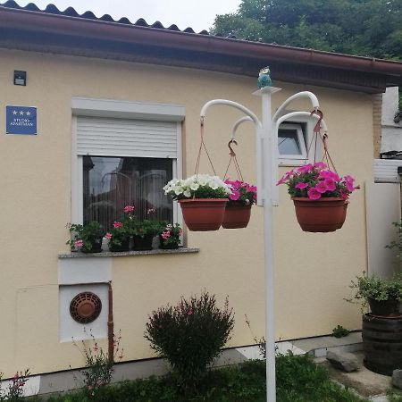 Studio Apartman Bandb Dakovo Exterior photo
